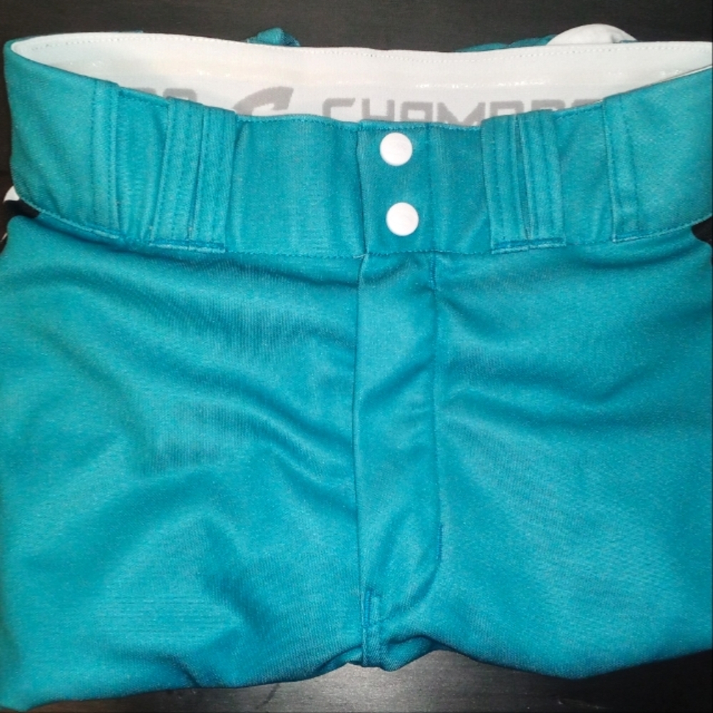 Blue Pinstriped Champro Baseball Pants.
